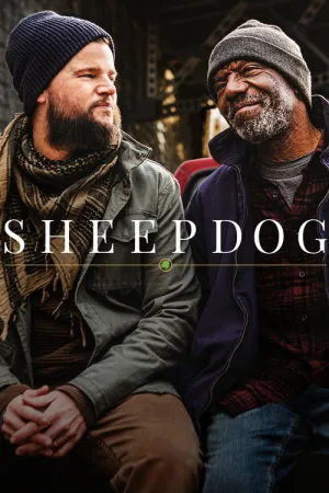 Sheepdog — постер