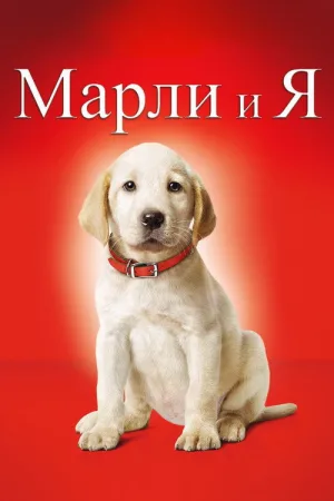 Марли и я — постер