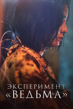 Эксперимент «Ведьма» — постер