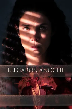 Llegaron de noche — постер