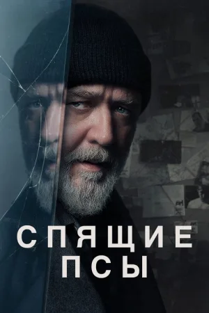 Спящие псы — постер