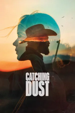 Catching Dust — постер