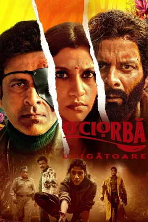 किलर सूप — постер