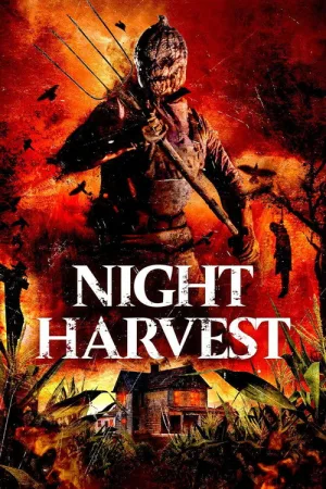 Night Harvest — постер