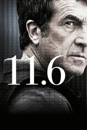11.6 — постер