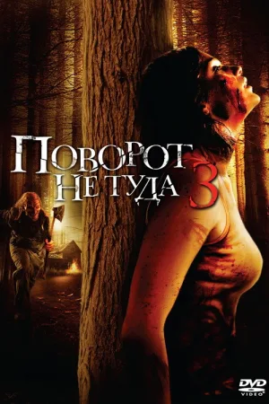Поворот не туда 3 — постер