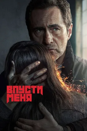 Впусти меня — постер