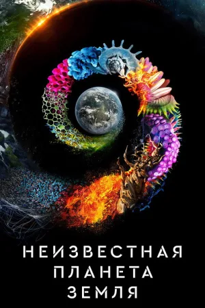 Неизвестная планета Земля — постер