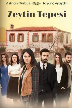 Zeytin Tepesi — постер
