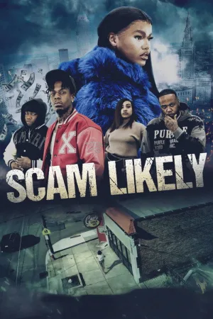 Scam Likely — постер