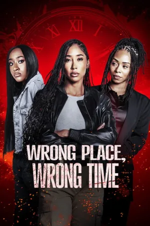 Wrong Place, Wrong Time — постер