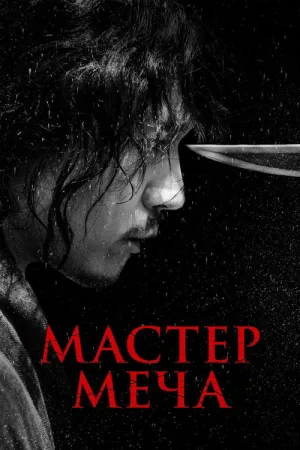 Мастер меча — постер