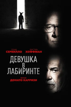 Девушка в лабиринте — постер