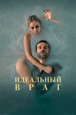 Идеальный враг — постер