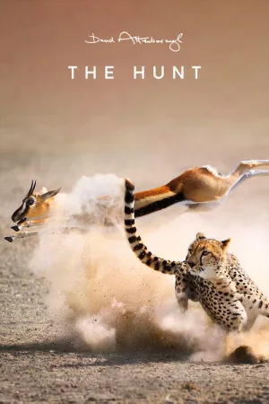 The Hunt — постер