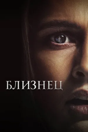 Близнец — постер