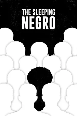 The Sleeping Negro — постер