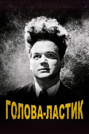Голова-ластик — постер