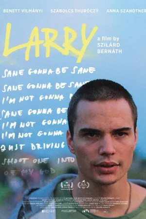 Larry — постер