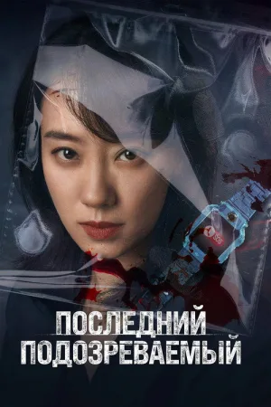 Последний подозреваемый — постер