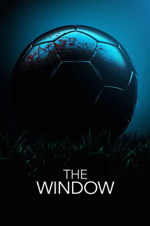 The Window — постер
