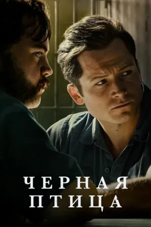 Черная птица — постер