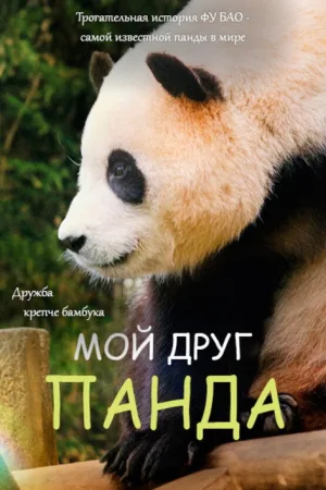 Мой друг панда — постер
