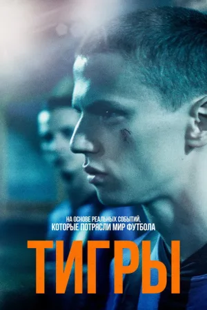 Тигры — постер