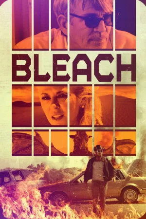 Bleach — постер