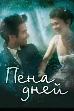 Пена дней — постер