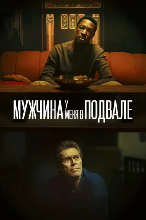 Мужчина у меня в подвале — постер