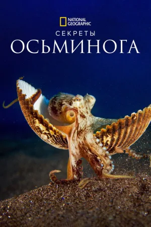 Секреты осьминога — постер